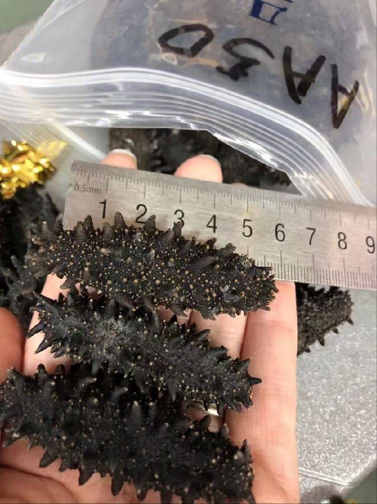 图片咋没了啊