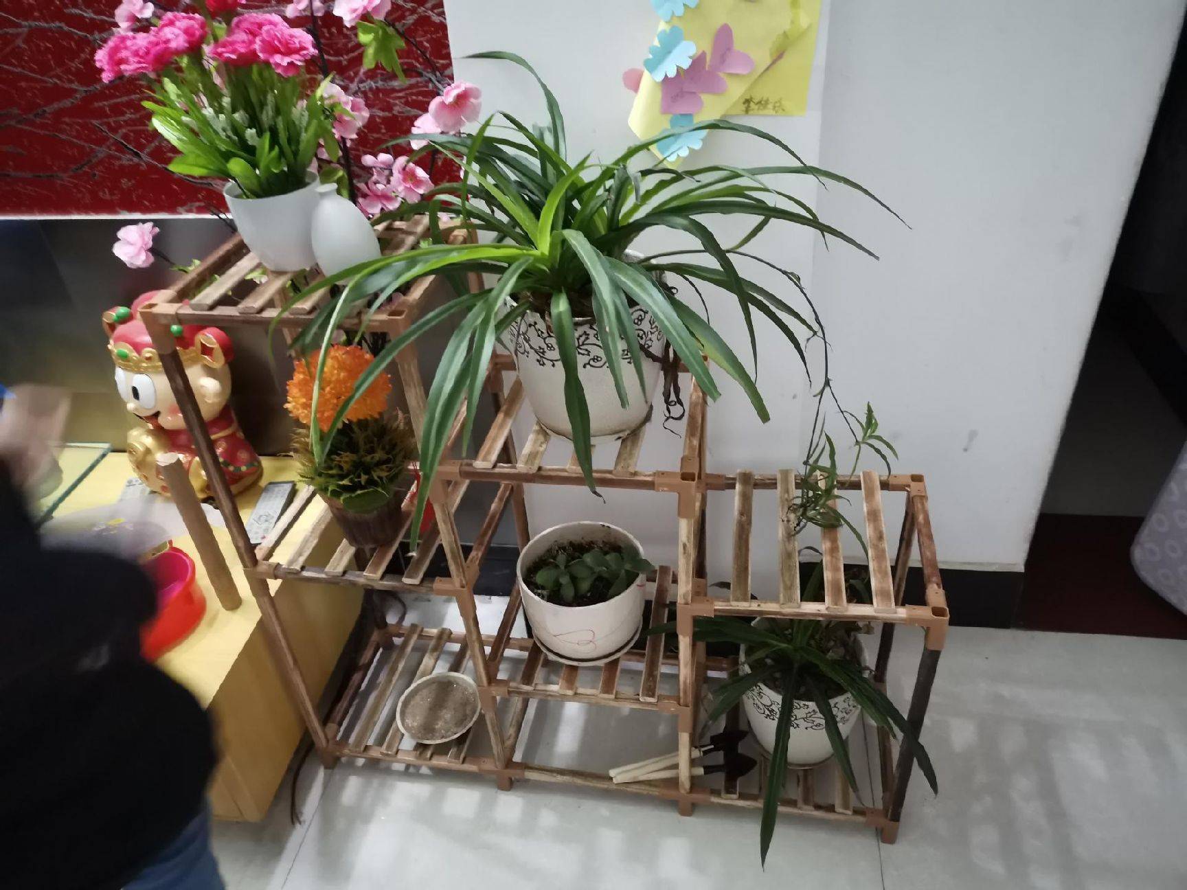 图片咋没了啊