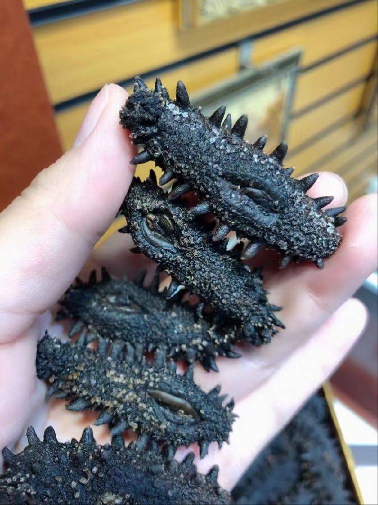 图片咋没了啊