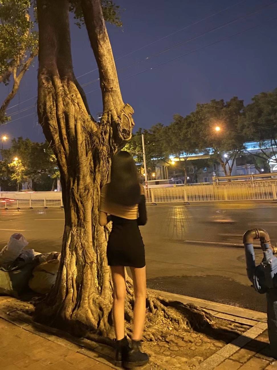 图片咋没了啊