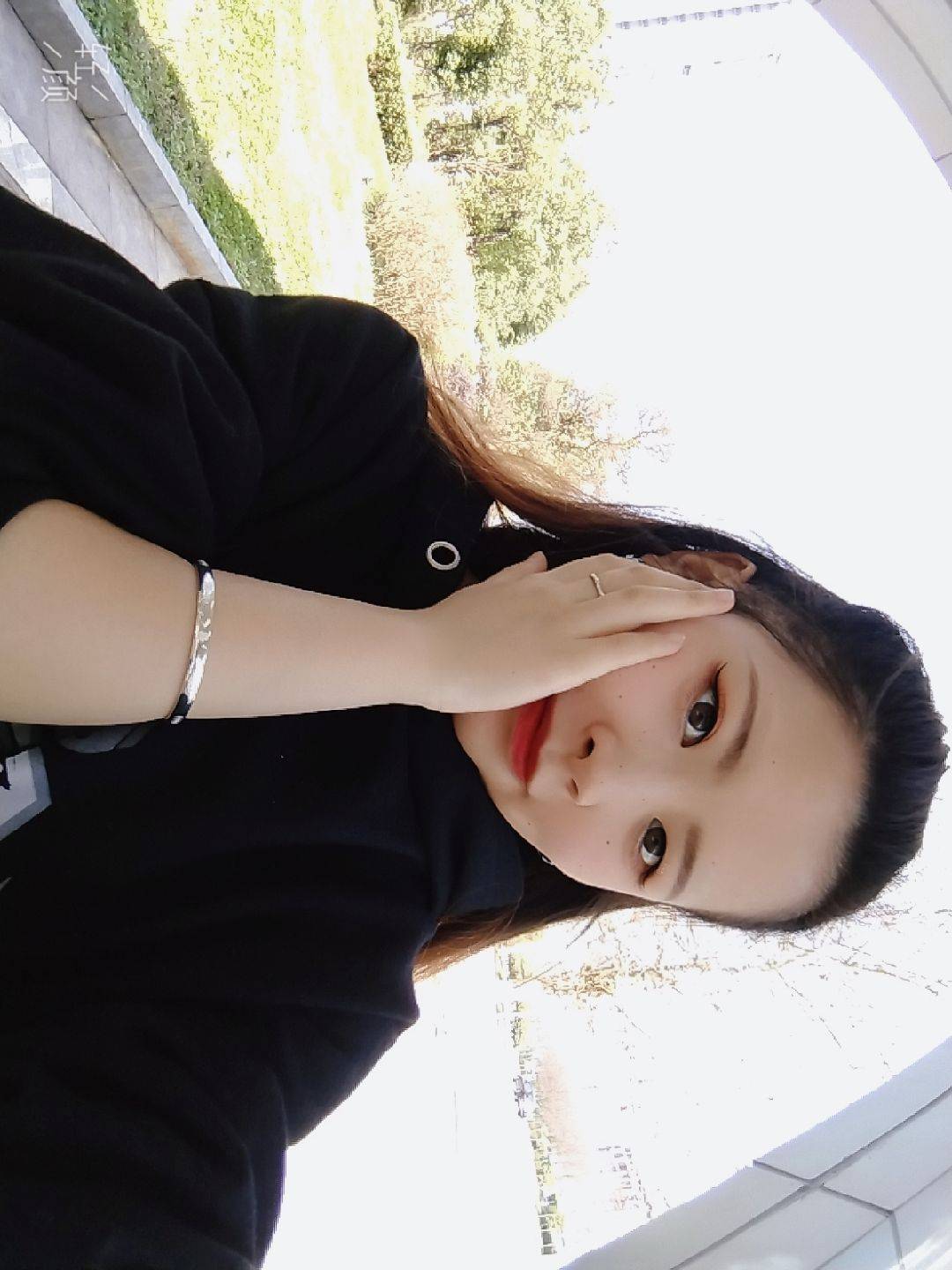 图片咋没了啊