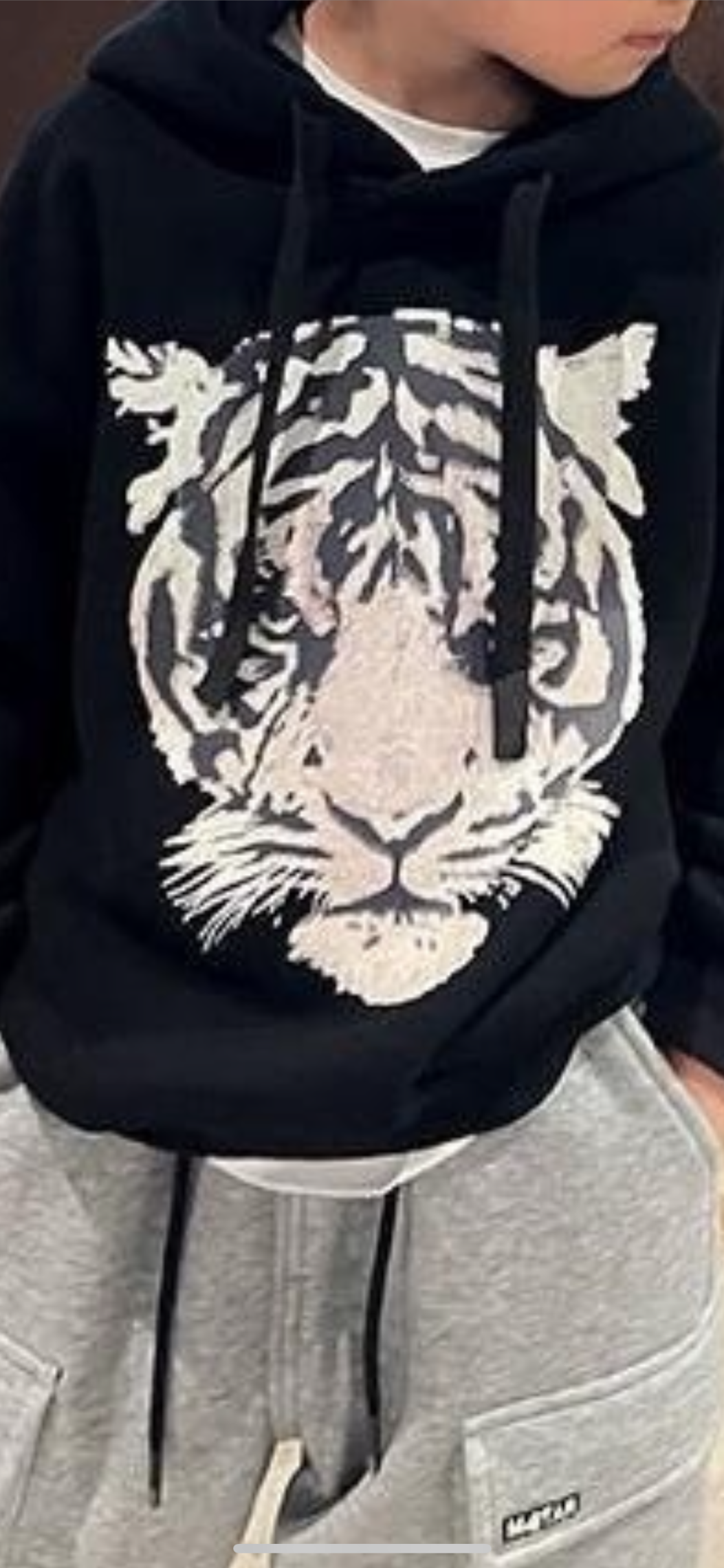 图片咋没了啊