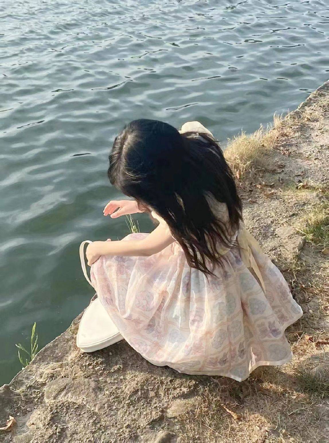 图片咋没了啊