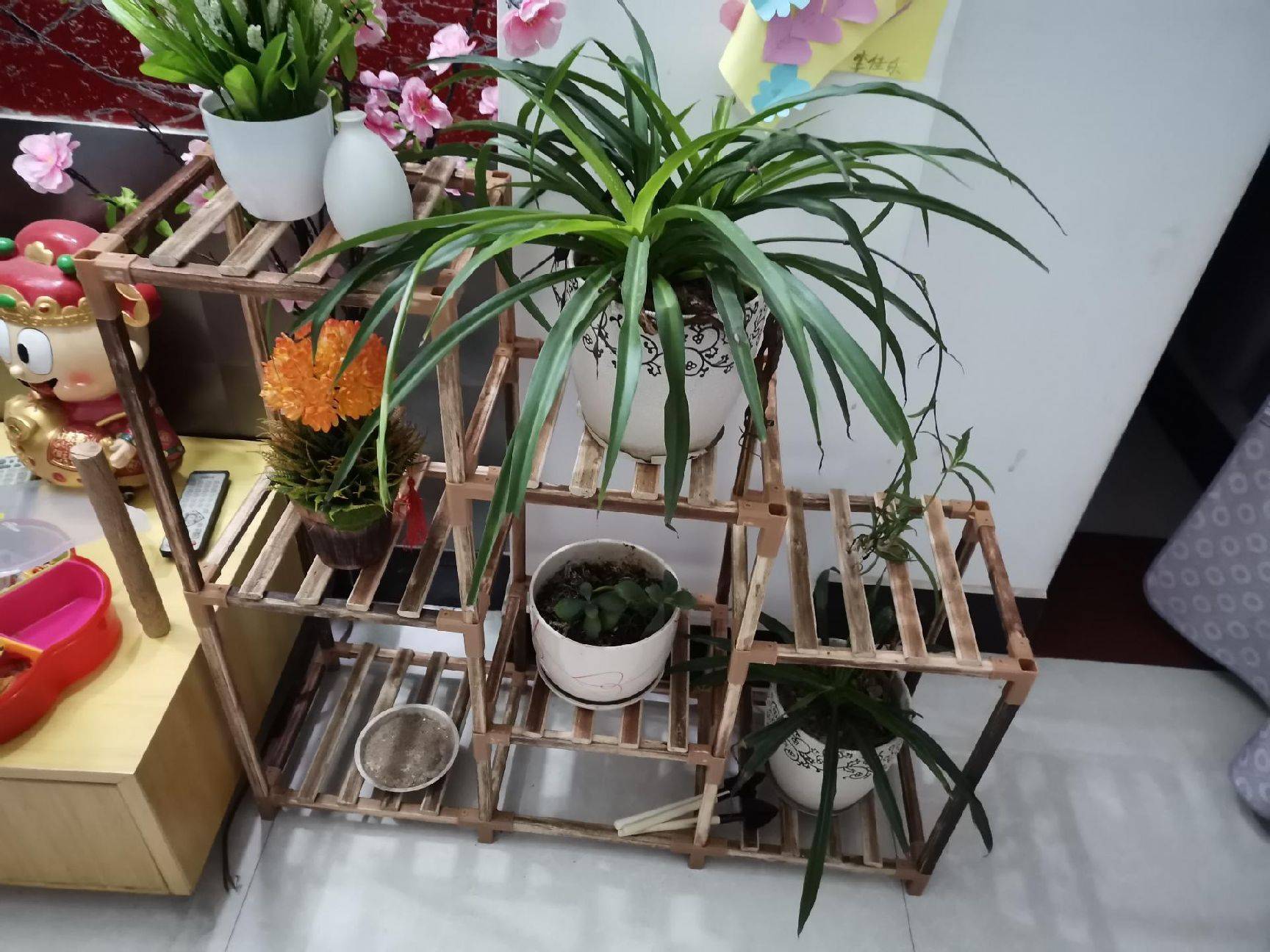 图片咋没了啊