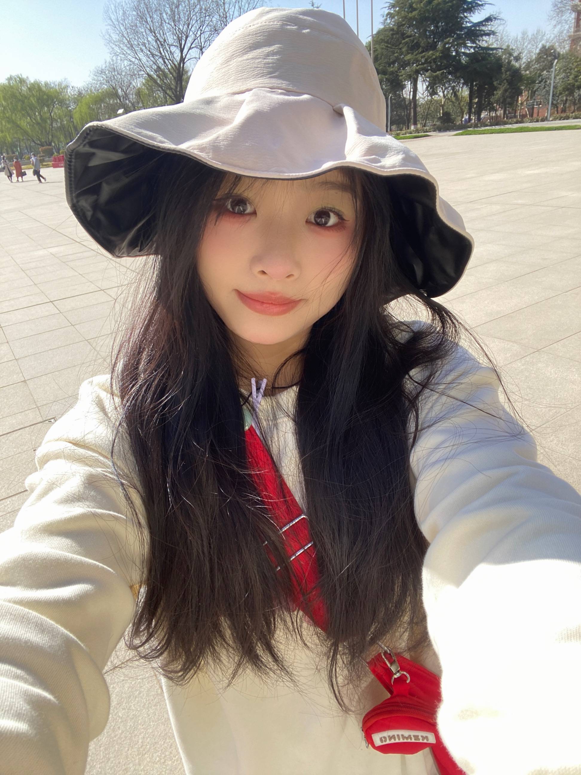 图片咋没了啊