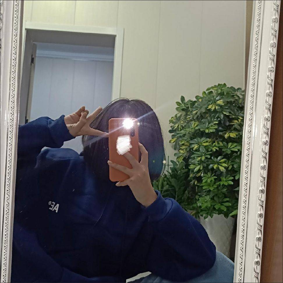 图片咋没了啊