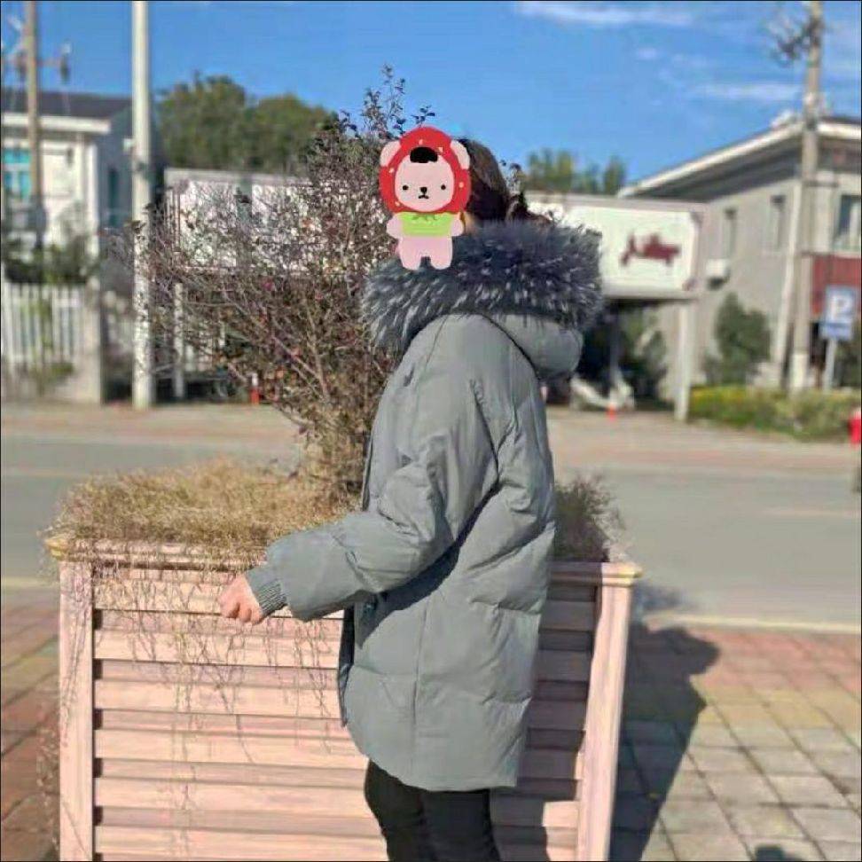 图片咋没了啊