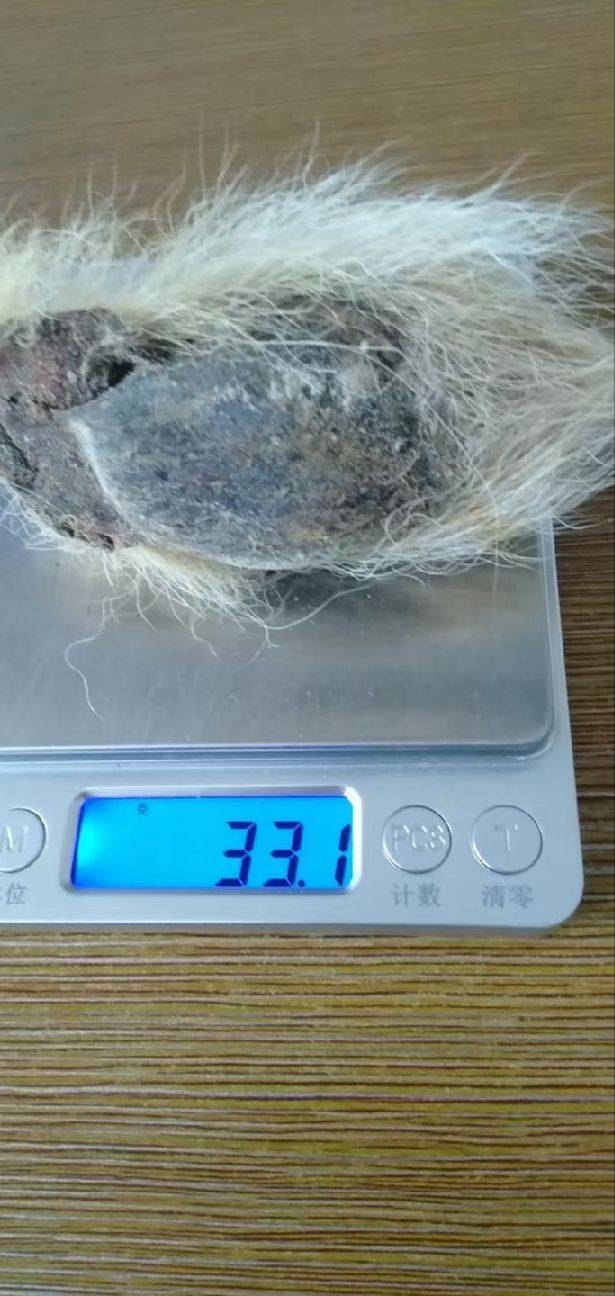 图片咋没了啊