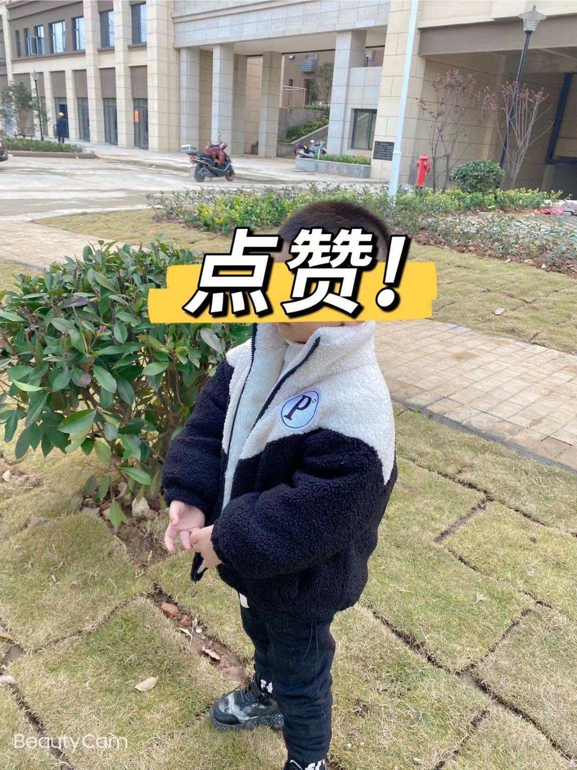 图片咋没了啊
