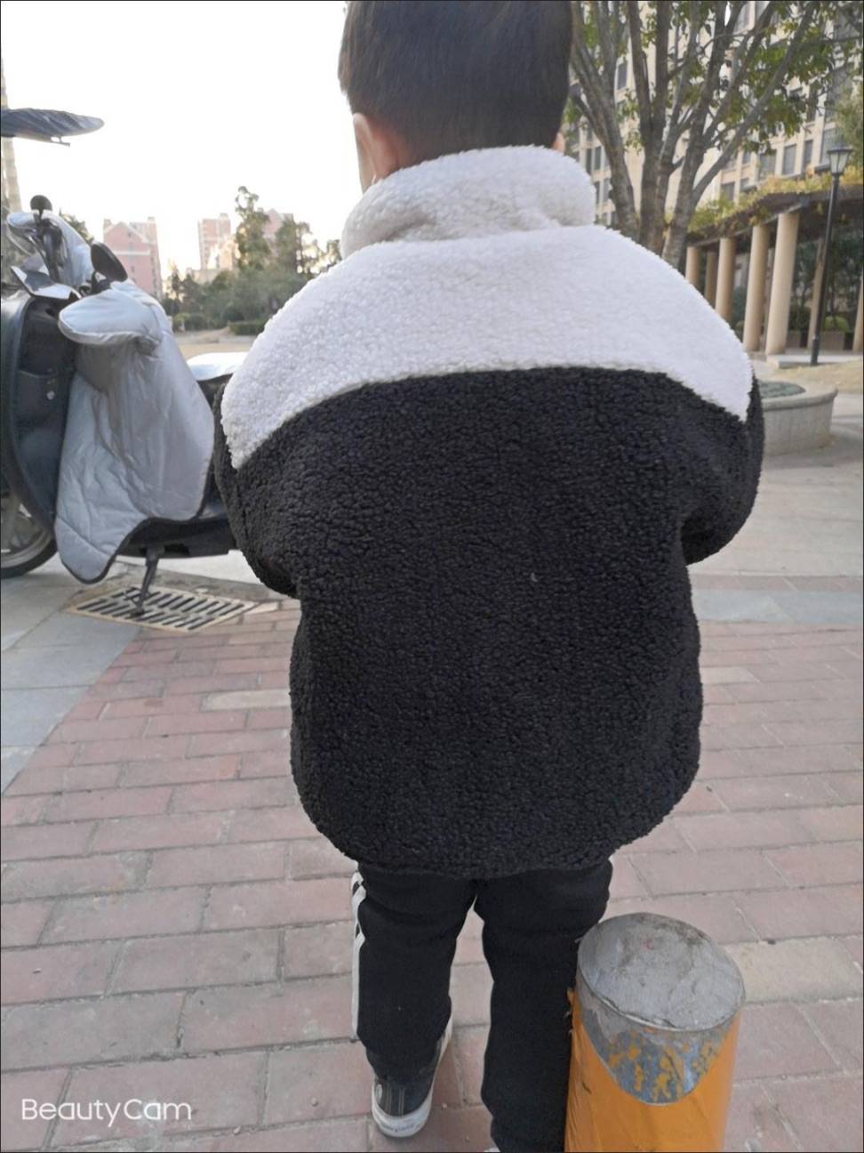 图片咋没了啊