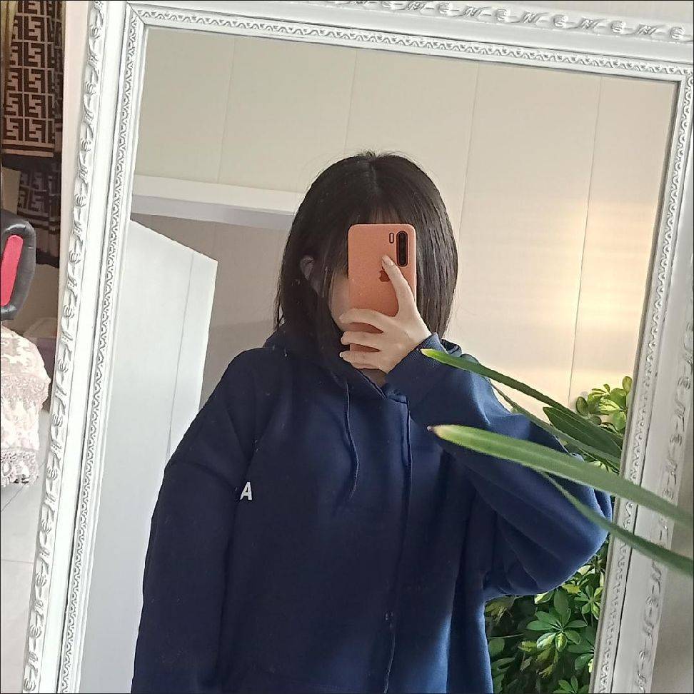 图片咋没了啊
