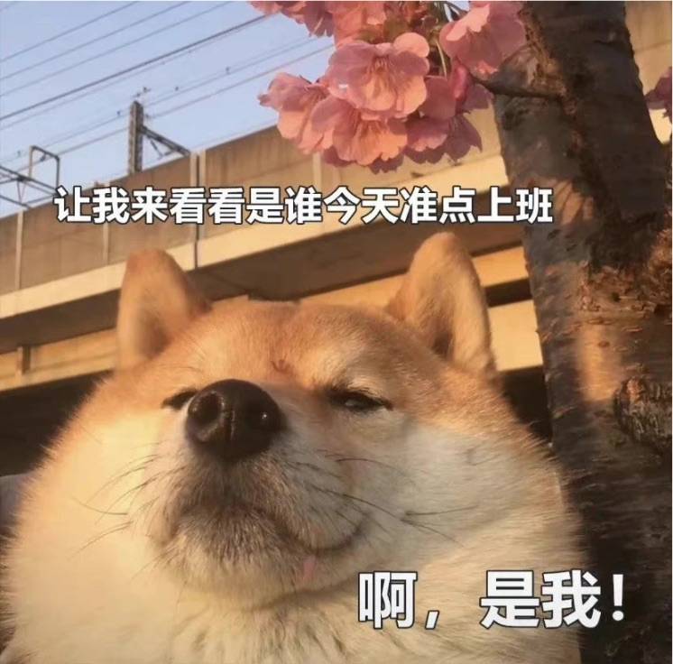 图片咋没了啊