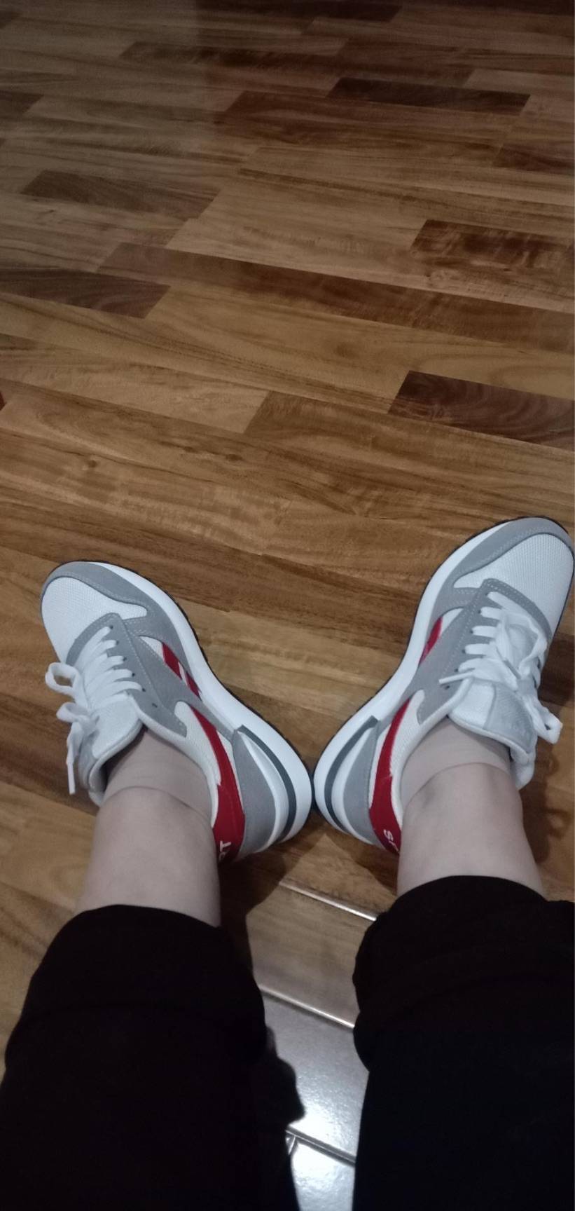 图片咋没了啊