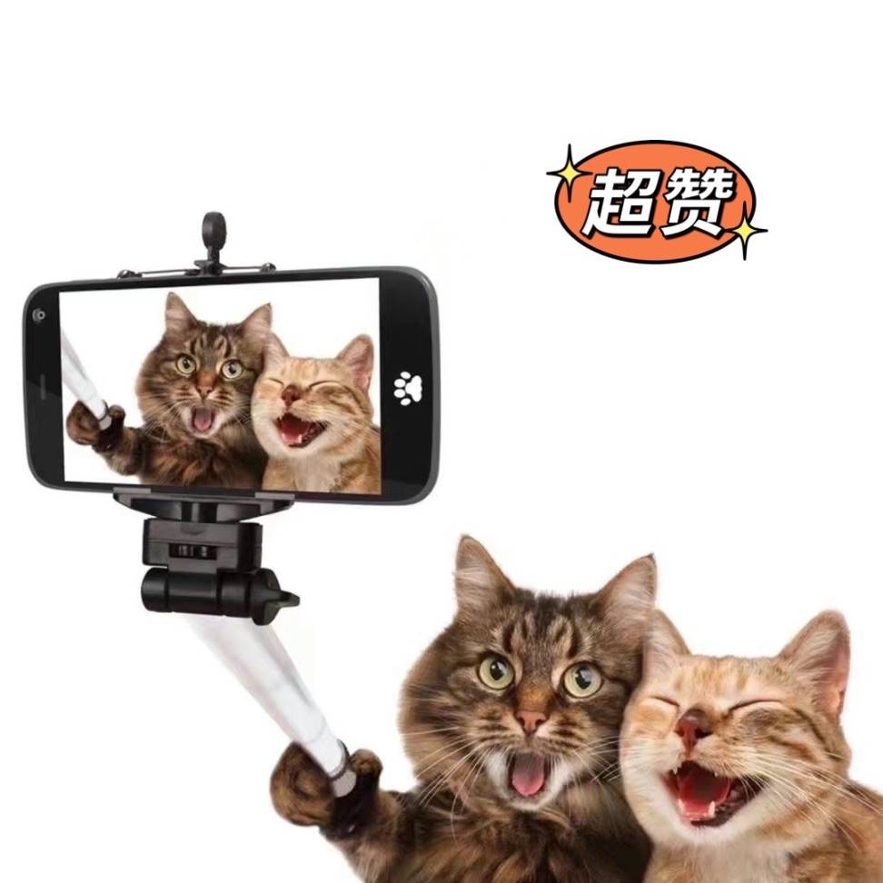 图片咋没了啊
