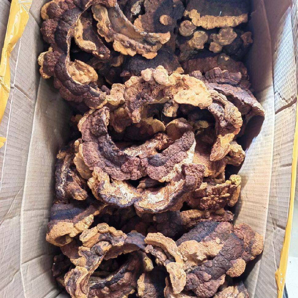 图片咋没了啊