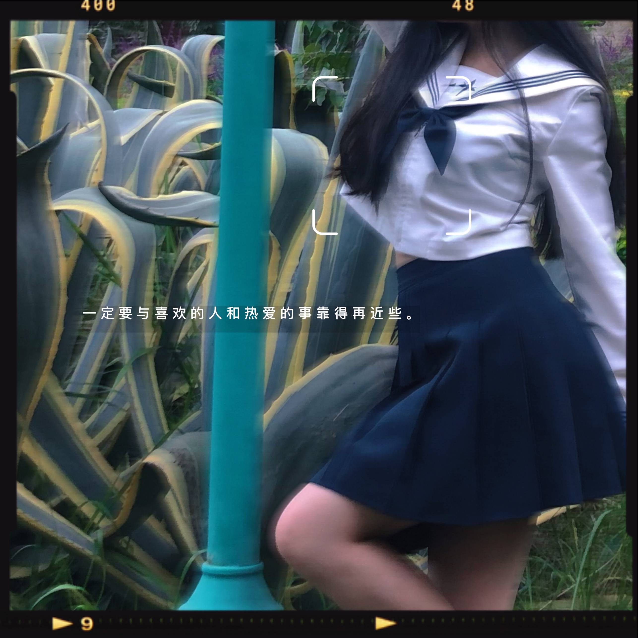 图片咋没了啊