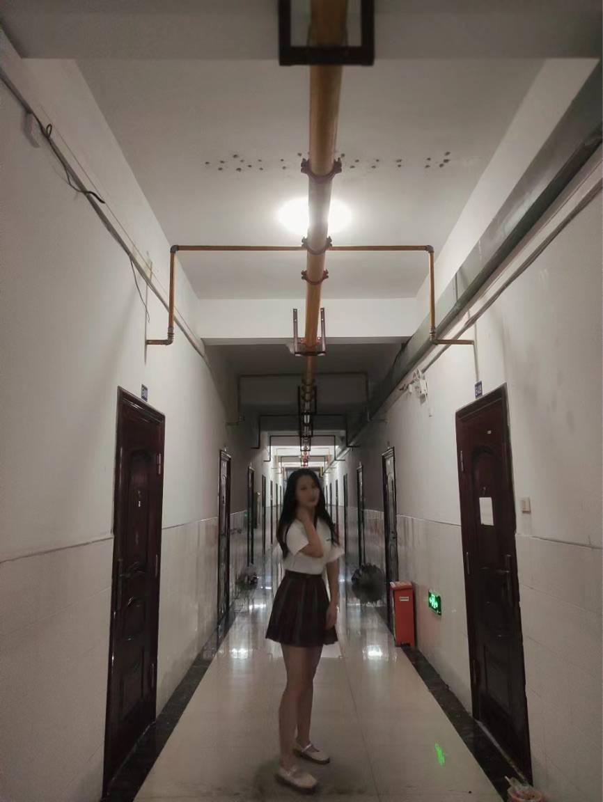 图片咋没了啊