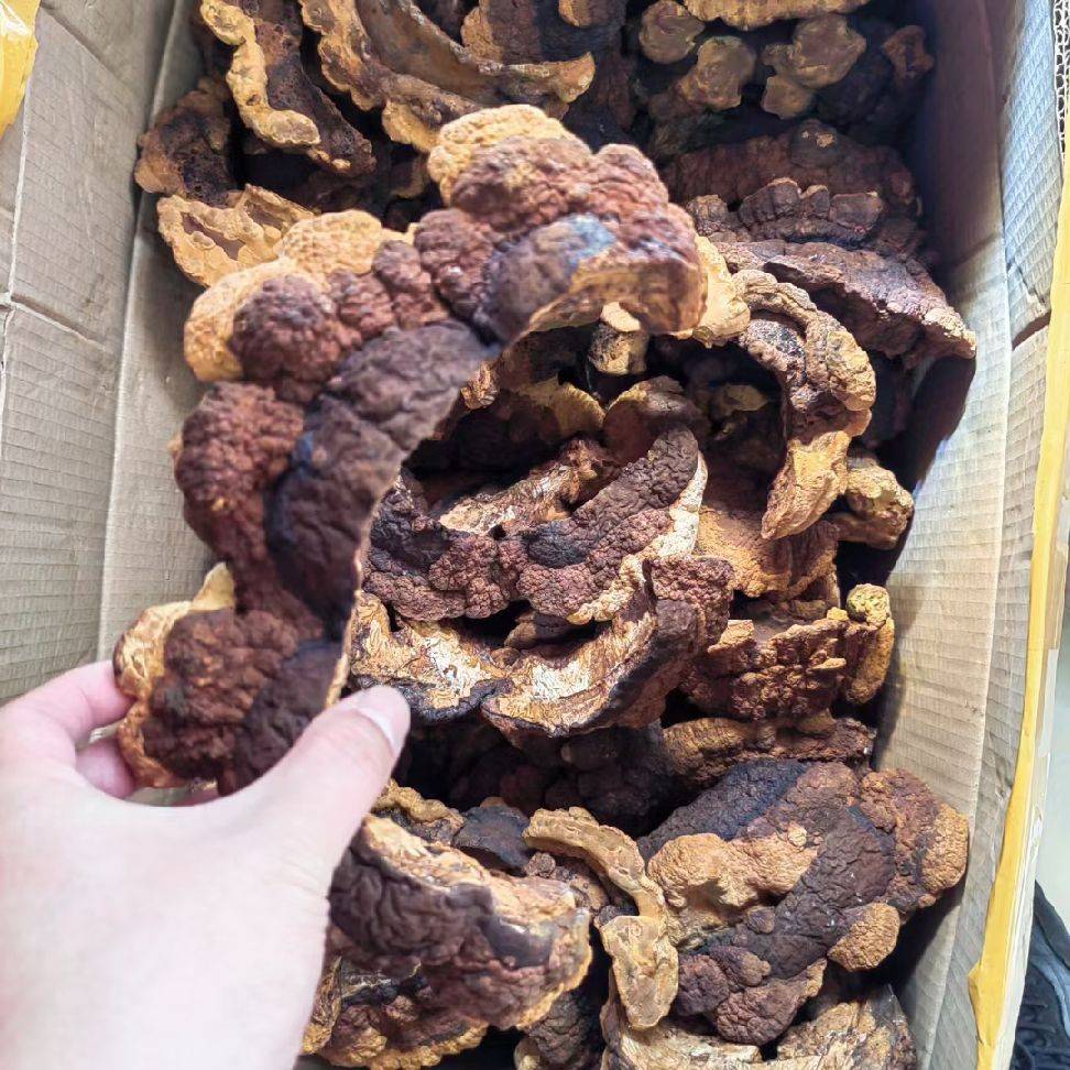 图片咋没了啊