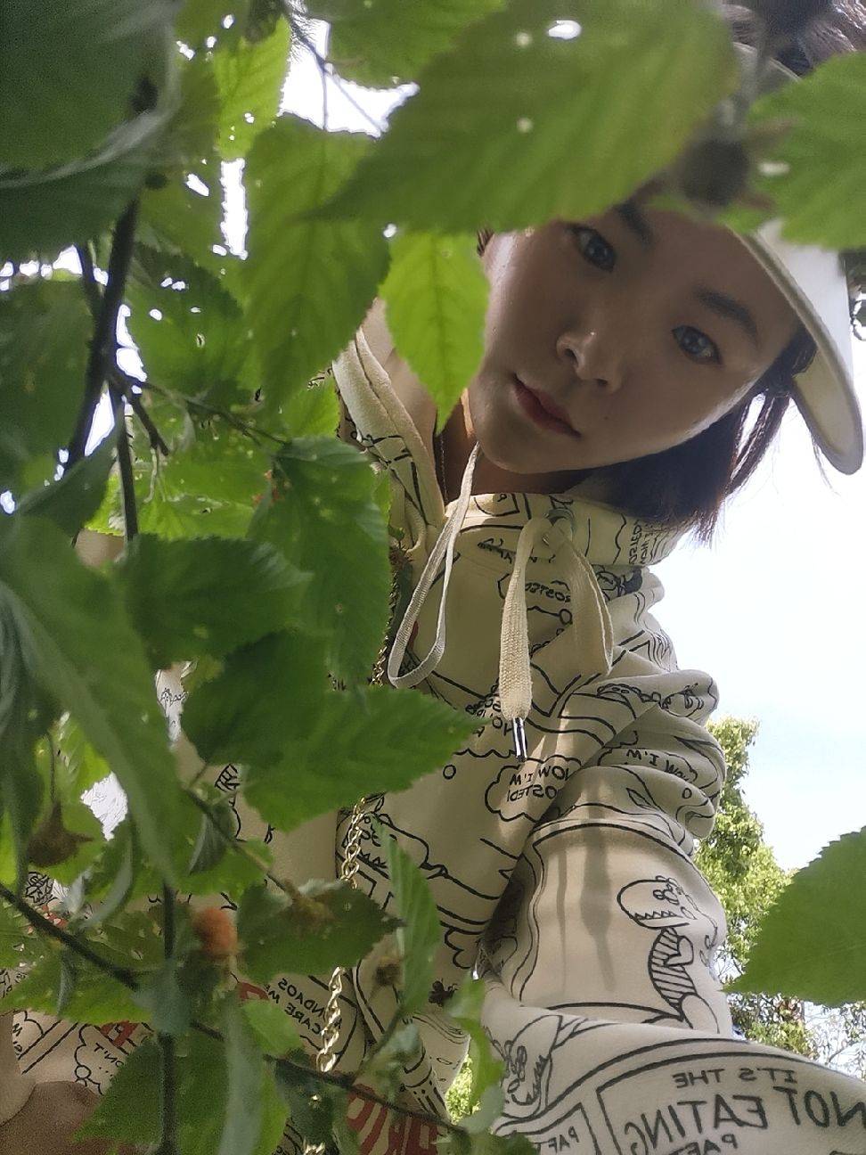 图片咋没了啊