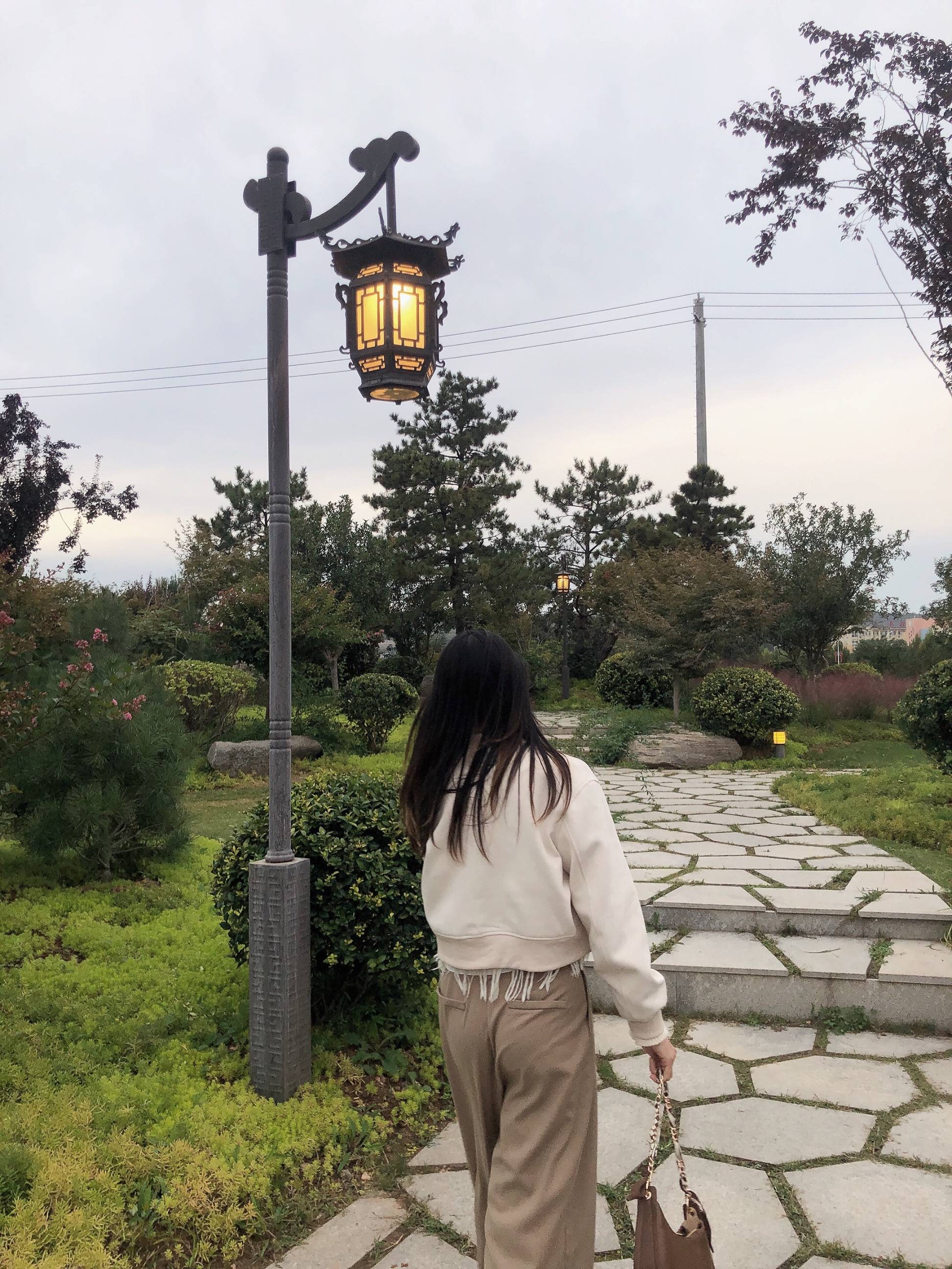 图片咋没了啊