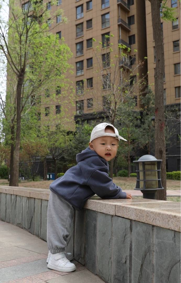 图片咋没了啊
