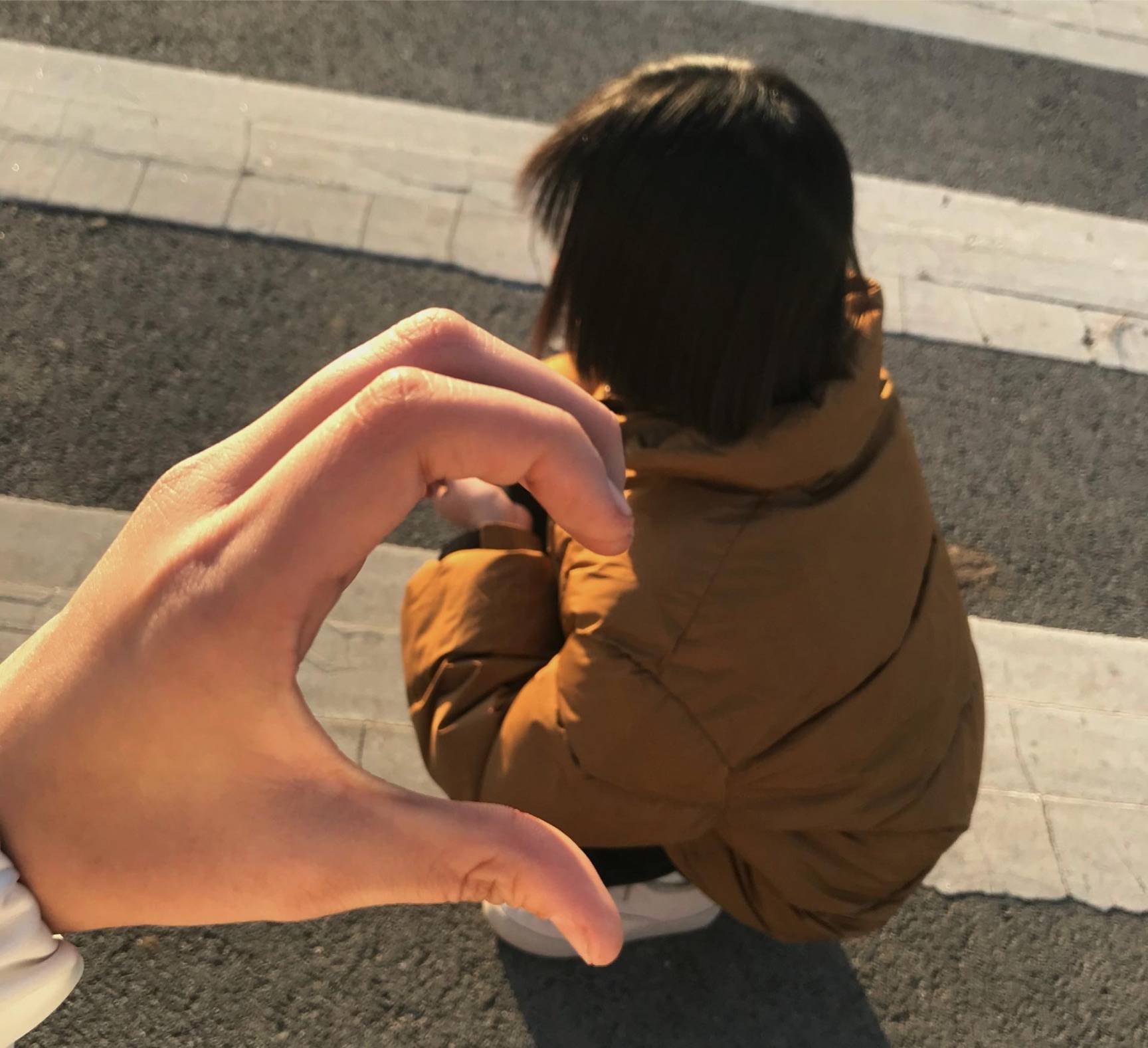 图片咋没了啊