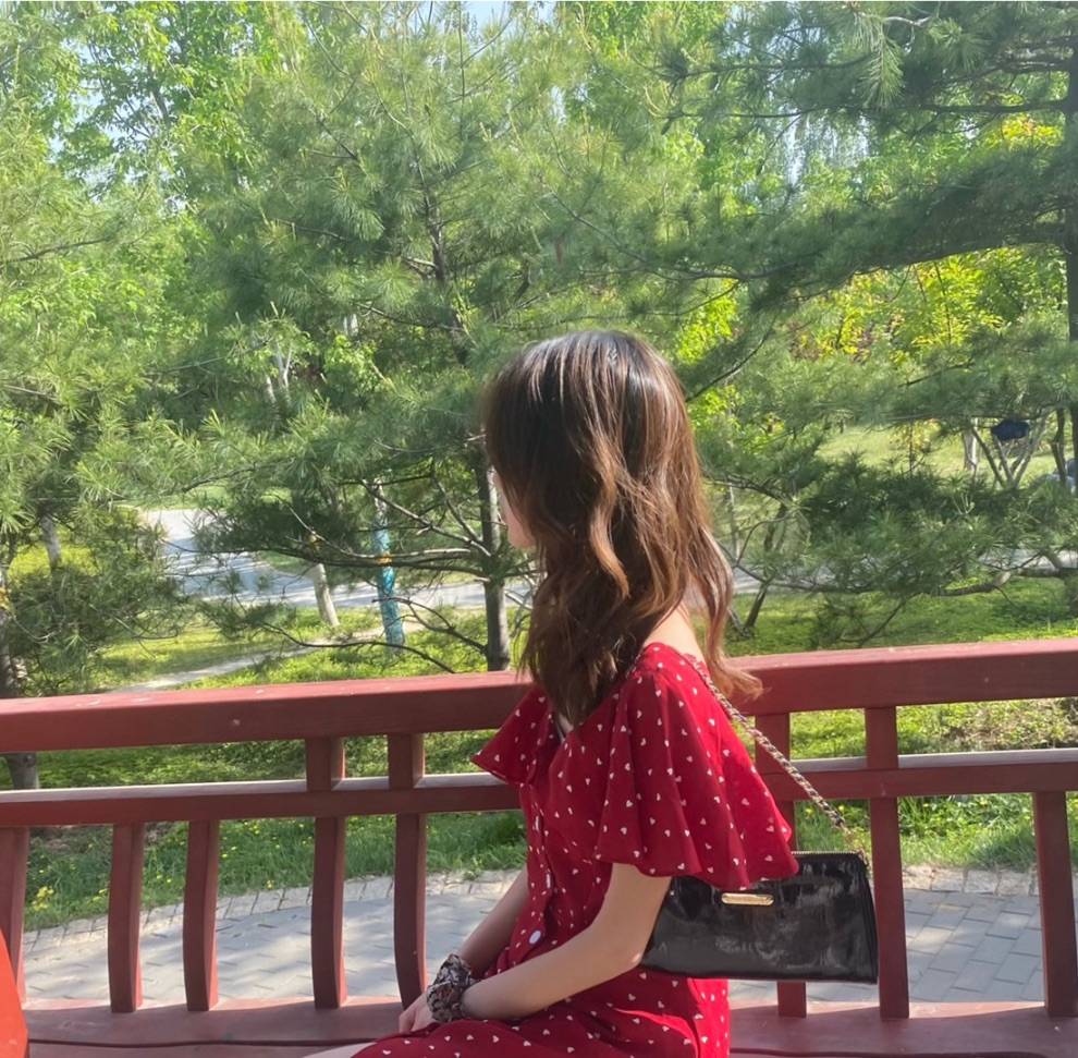 图片咋没了啊