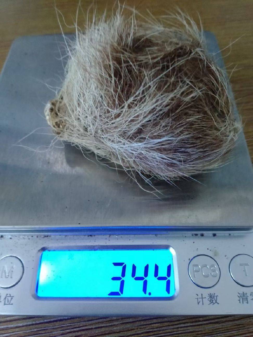 图片咋没了啊
