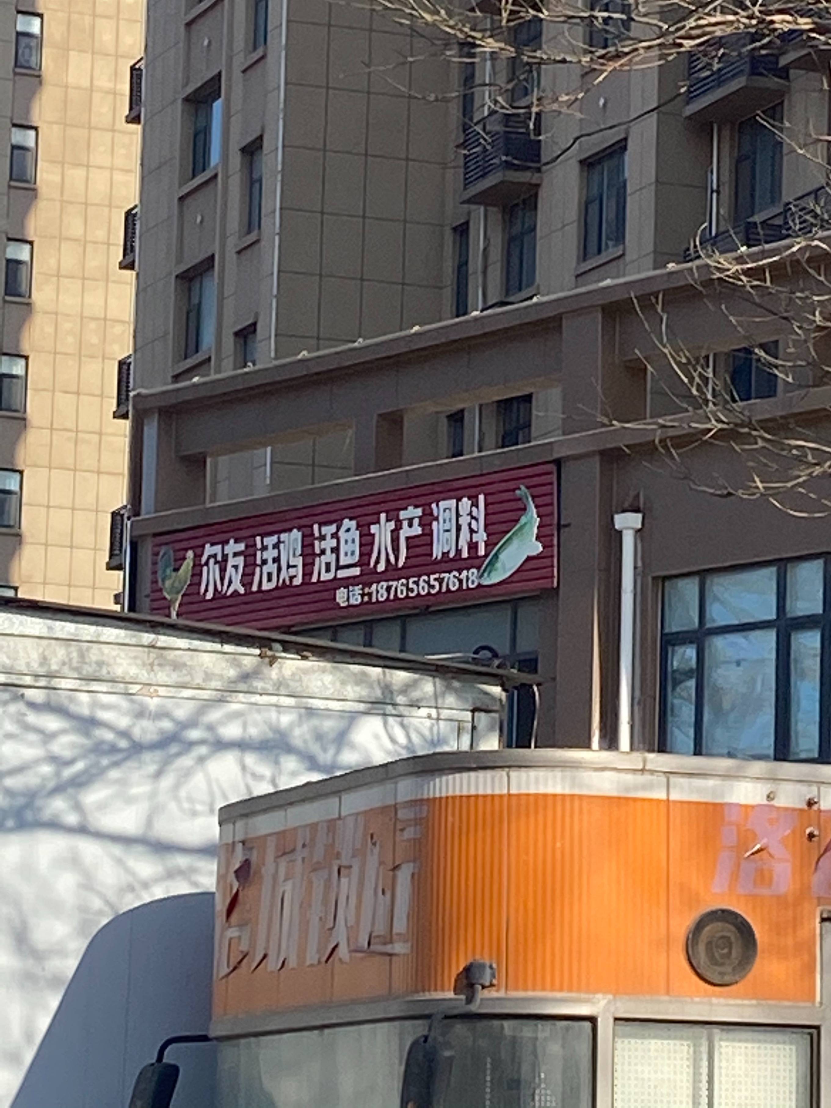 图片咋没了啊