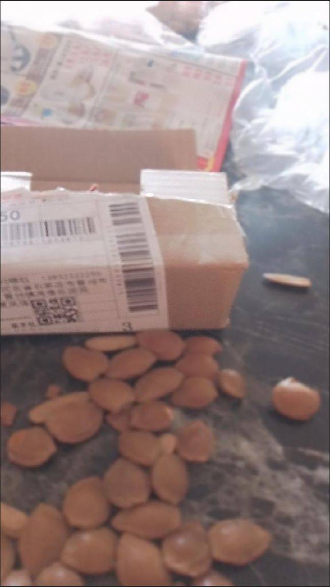 图片咋没了啊