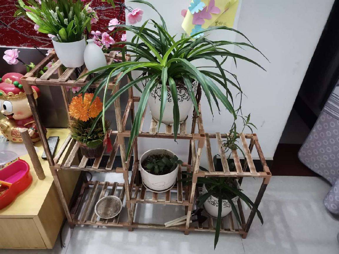 图片咋没了啊