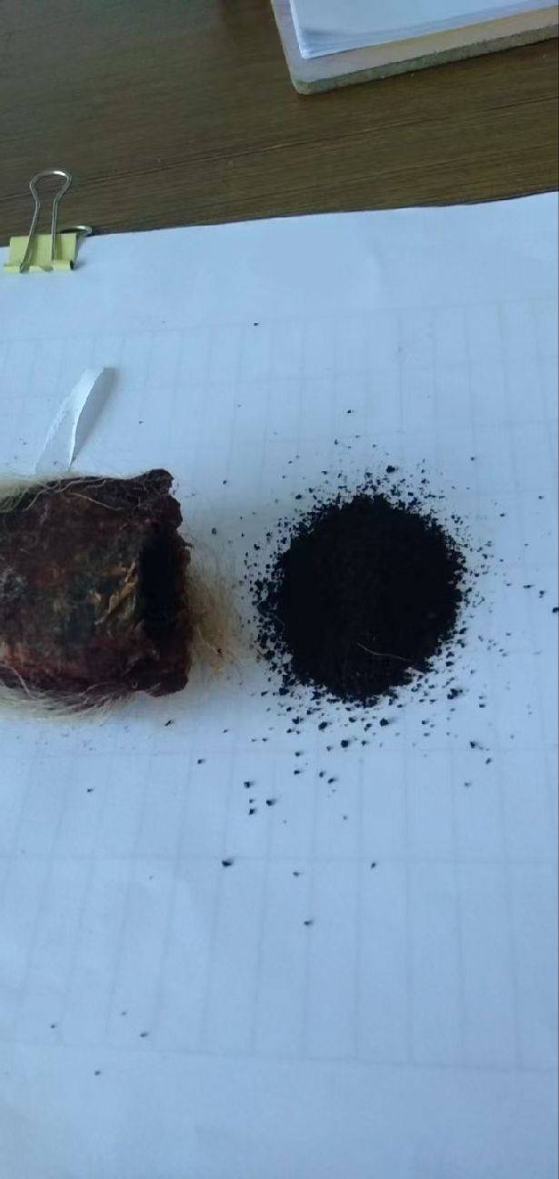 图片咋没了啊