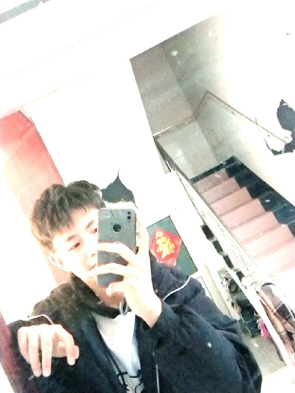 图片咋没了啊