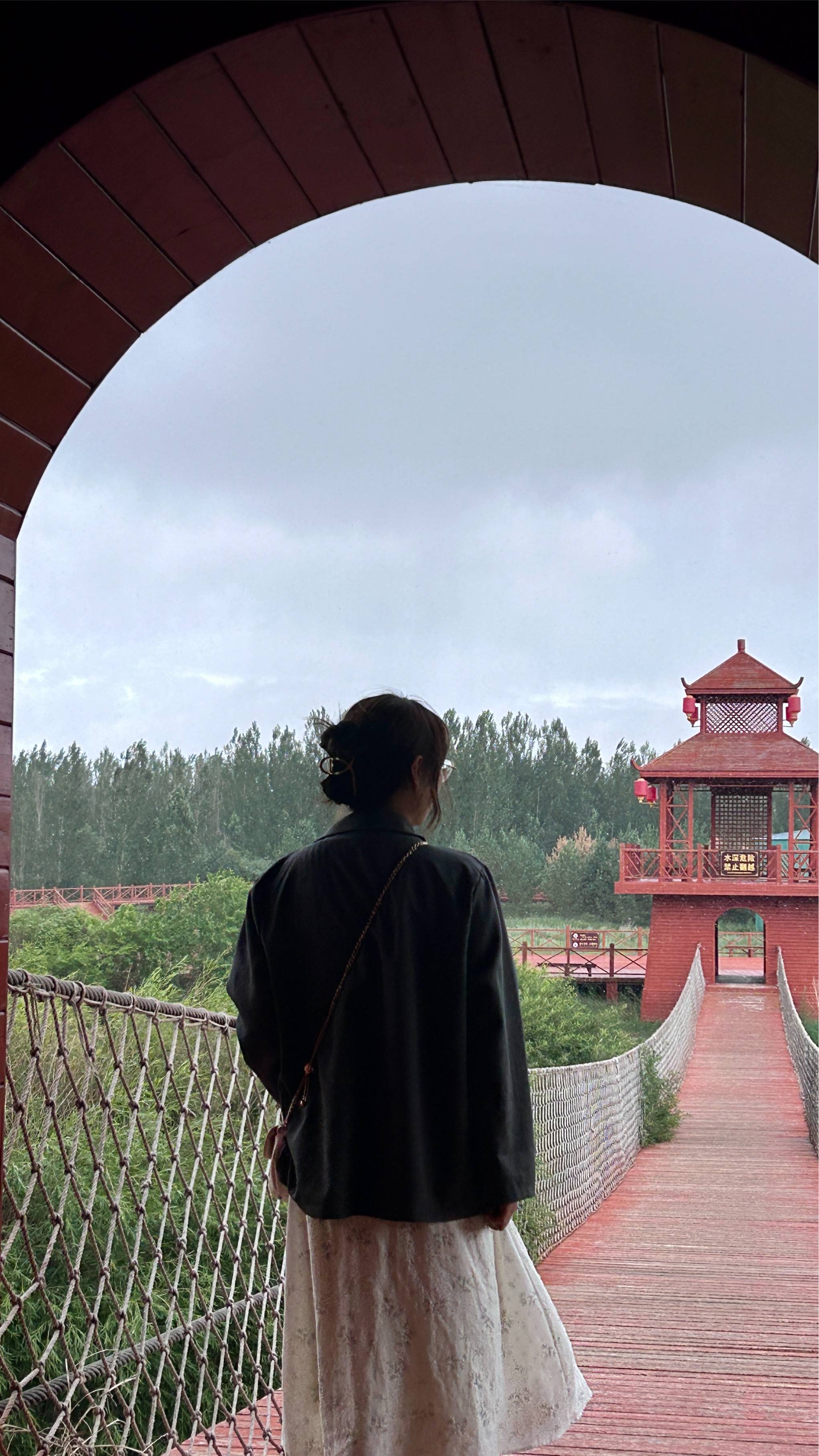图片咋没了啊