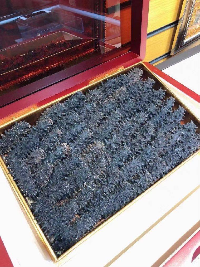 图片咋没了啊