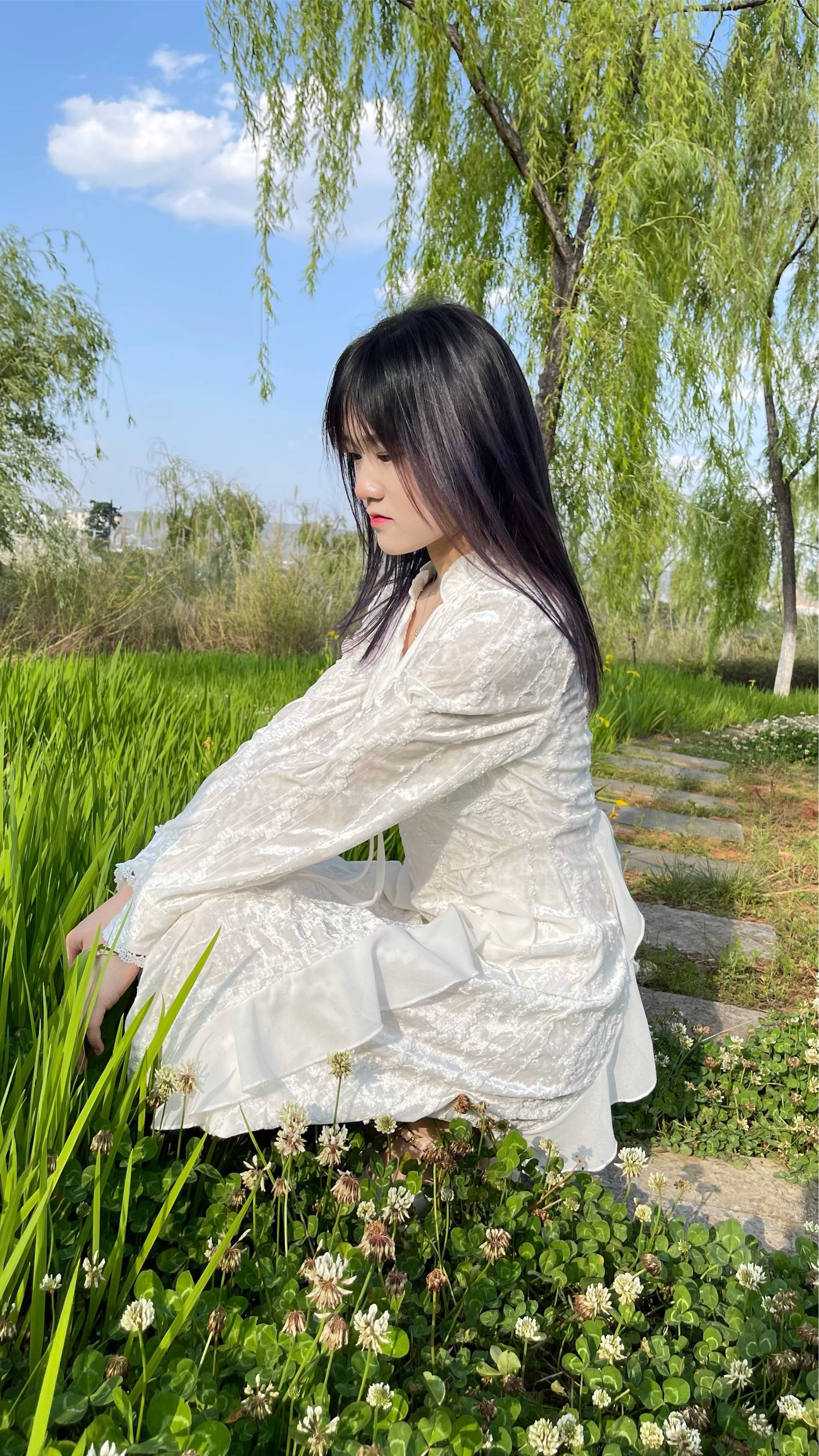 图片咋没了啊