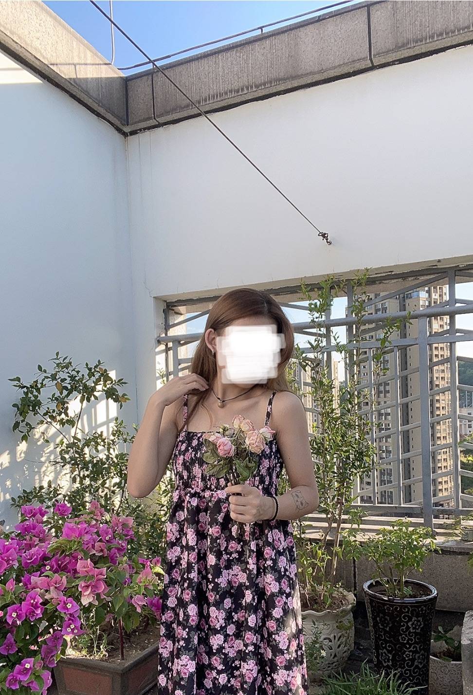 图片咋没了啊