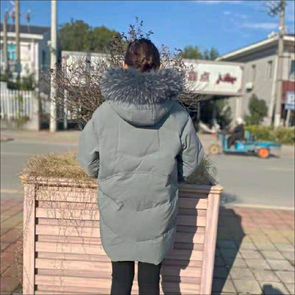 图片咋没了啊