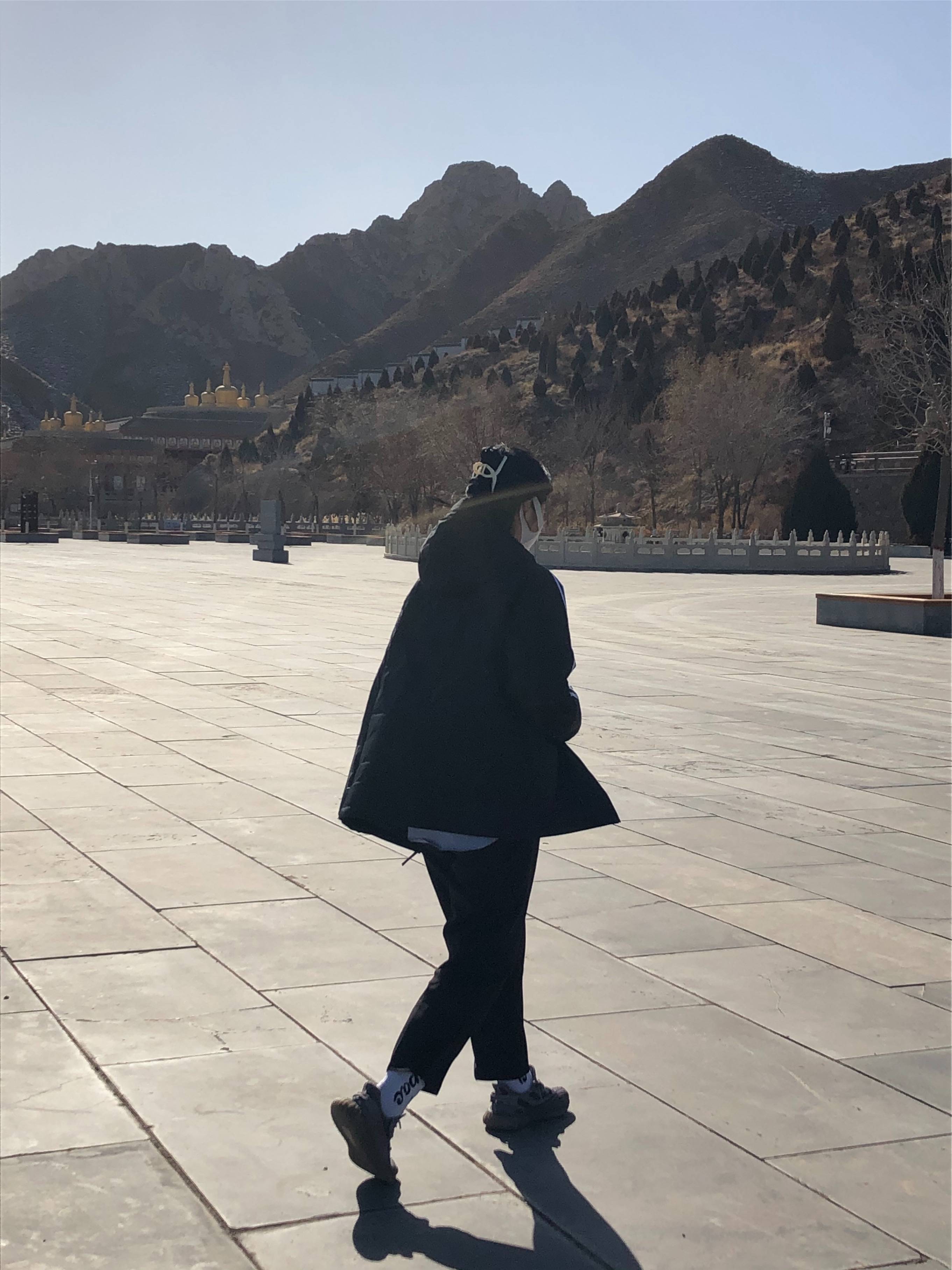 图片咋没了啊