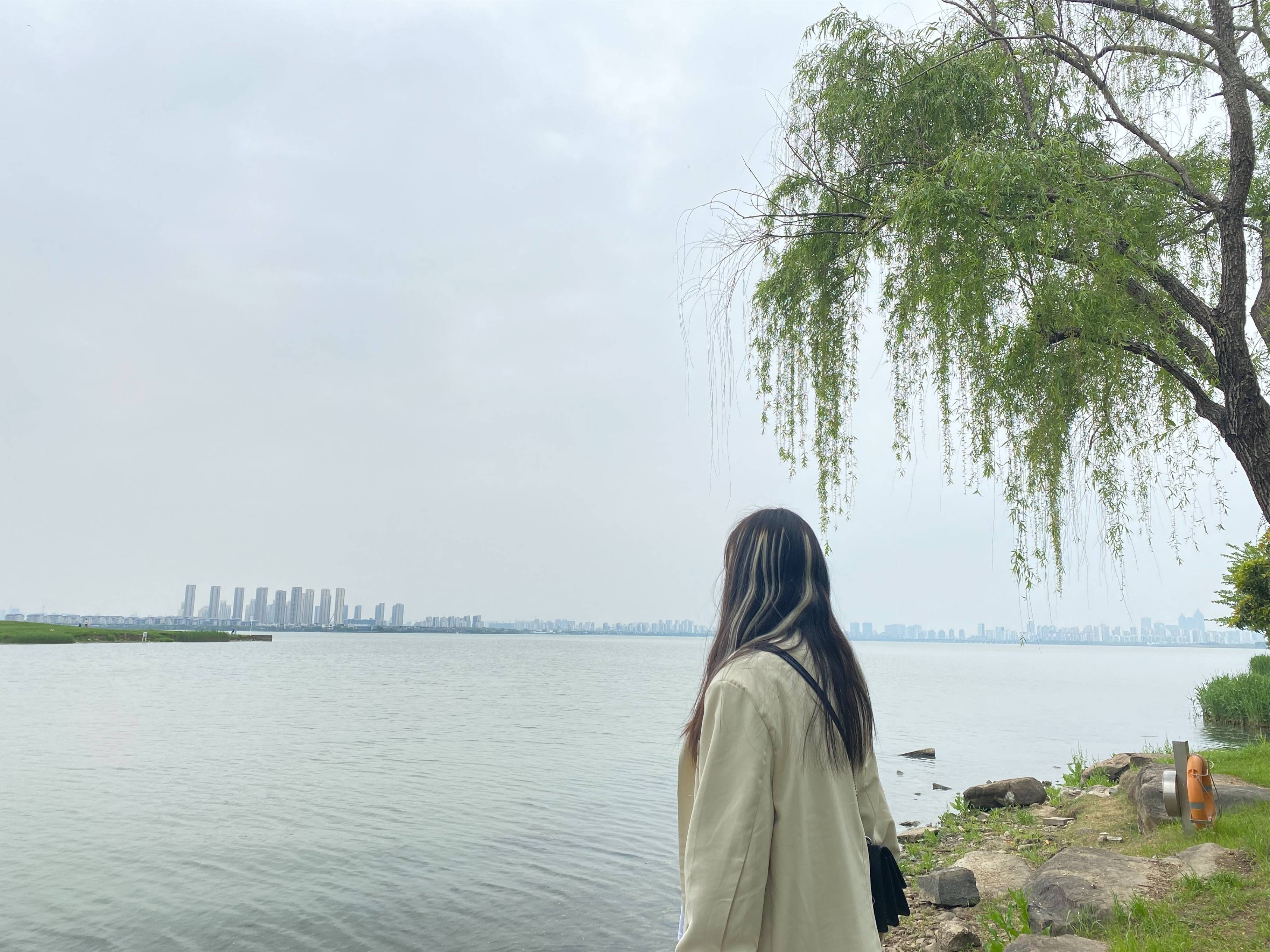 图片咋没了啊