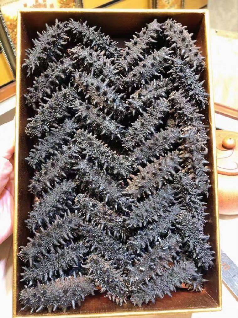 图片咋没了啊