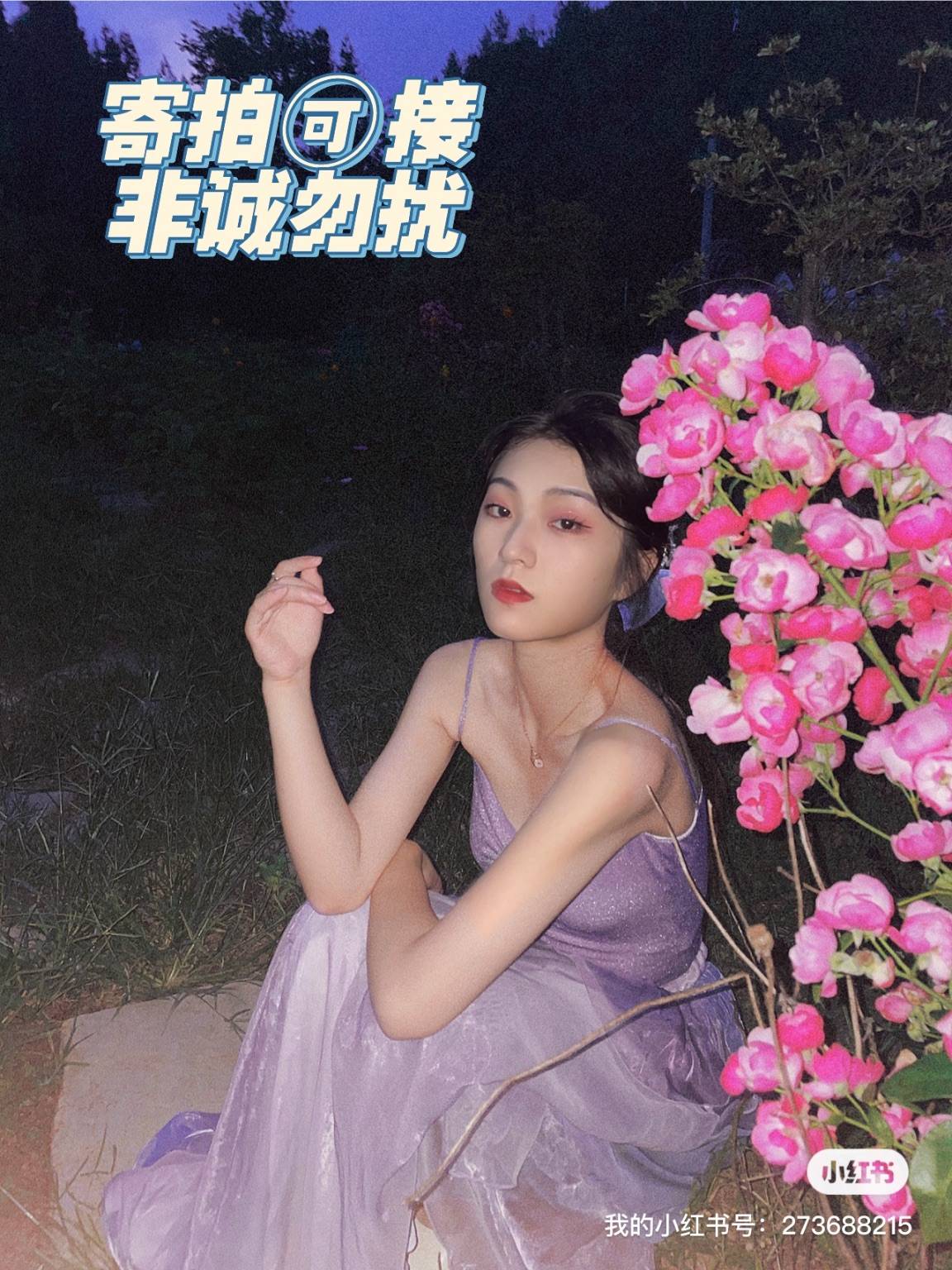 图片咋没了啊