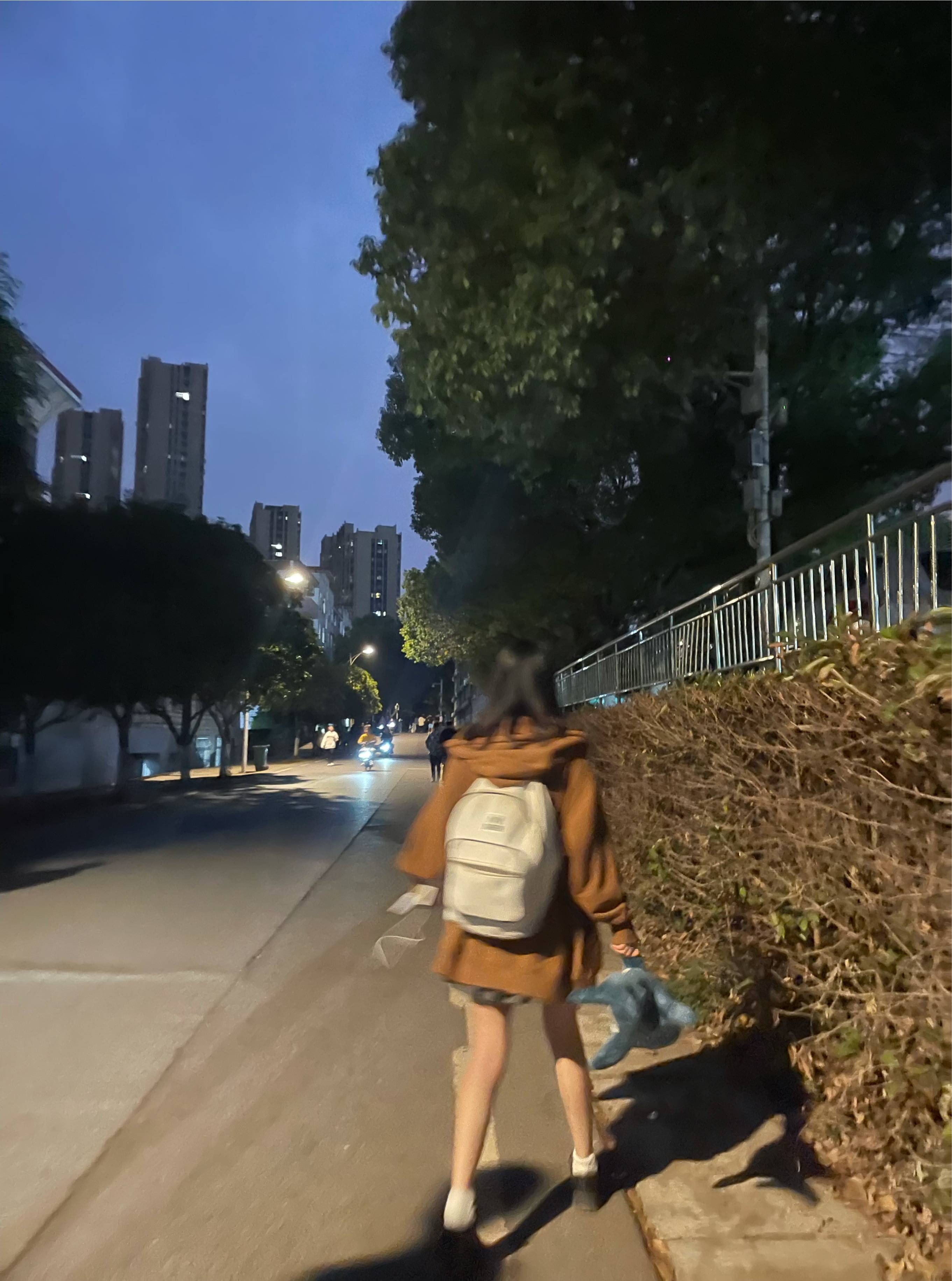 图片咋没了啊