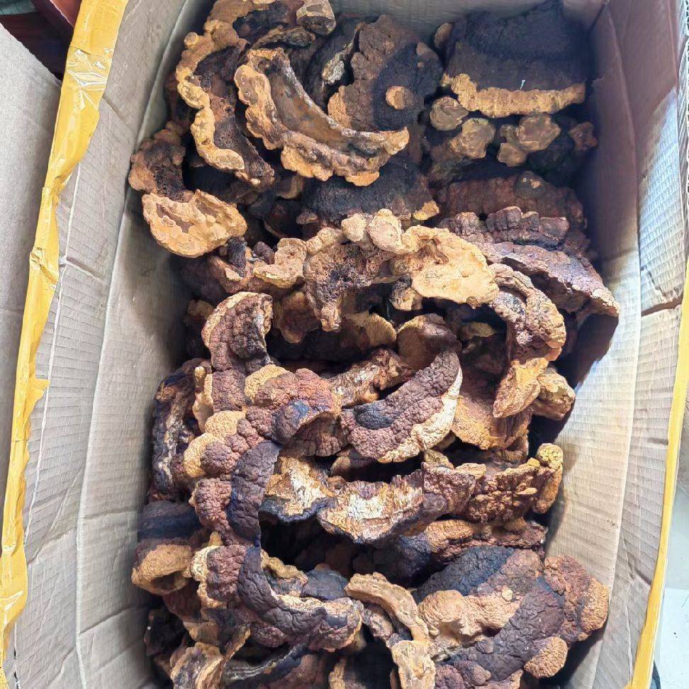 图片咋没了啊