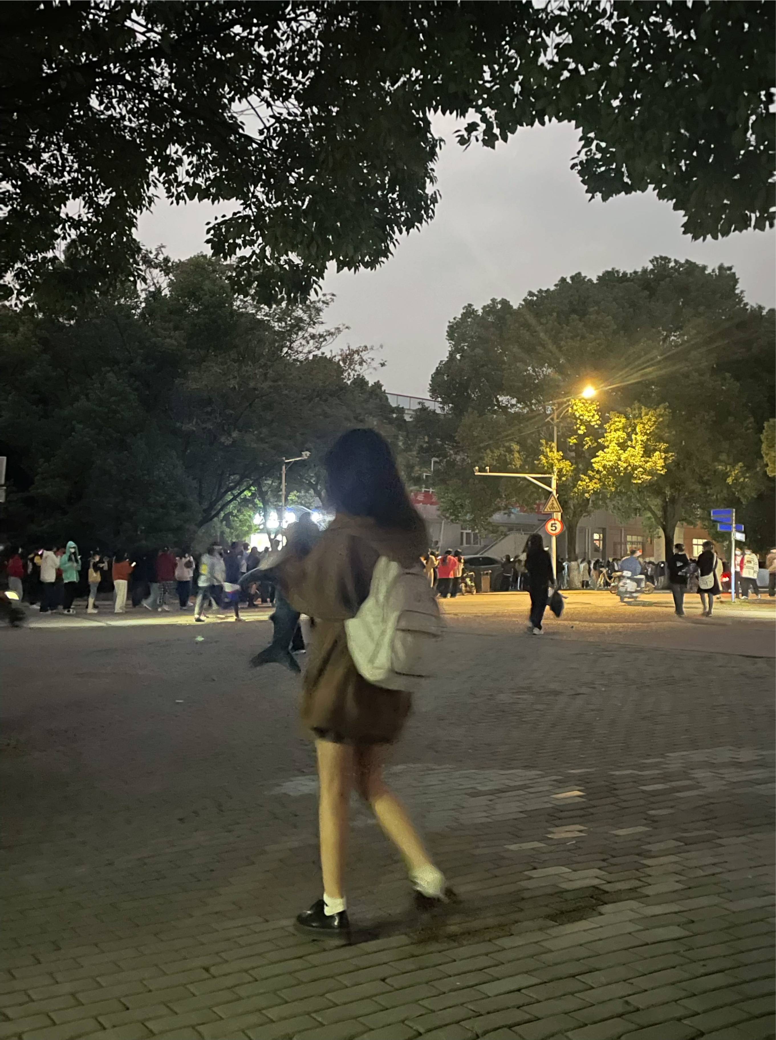 图片咋没了啊