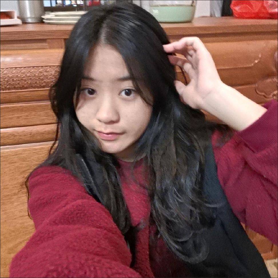 图片咋没了啊