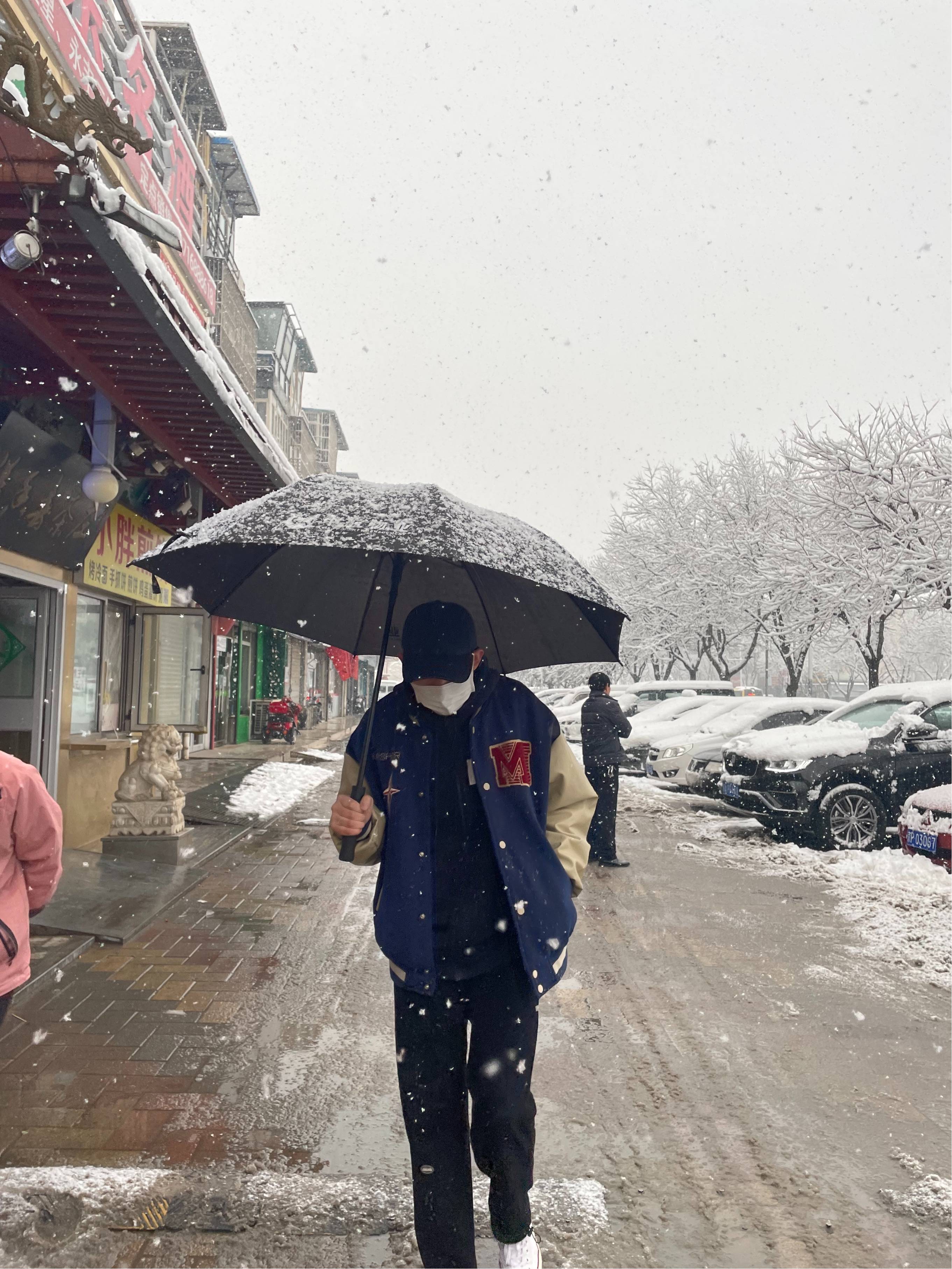 图片咋没了啊