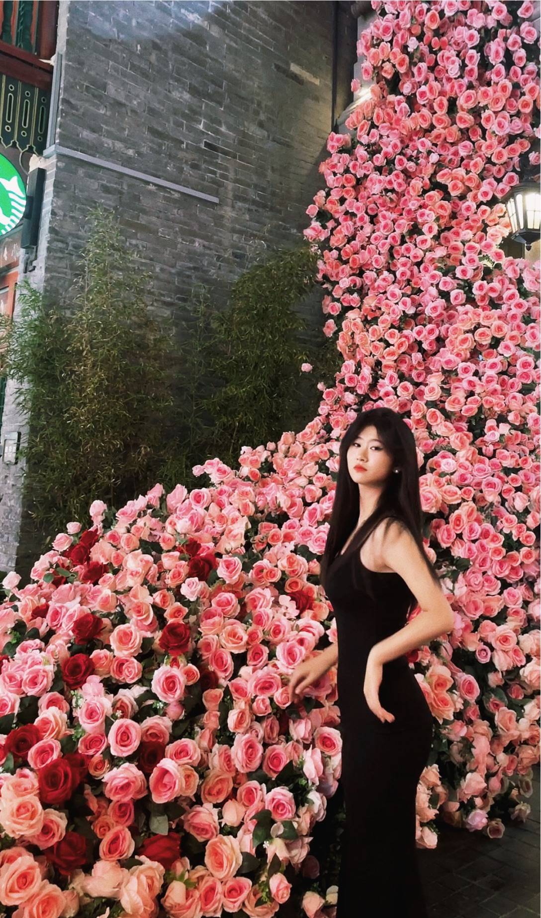图片咋没了啊