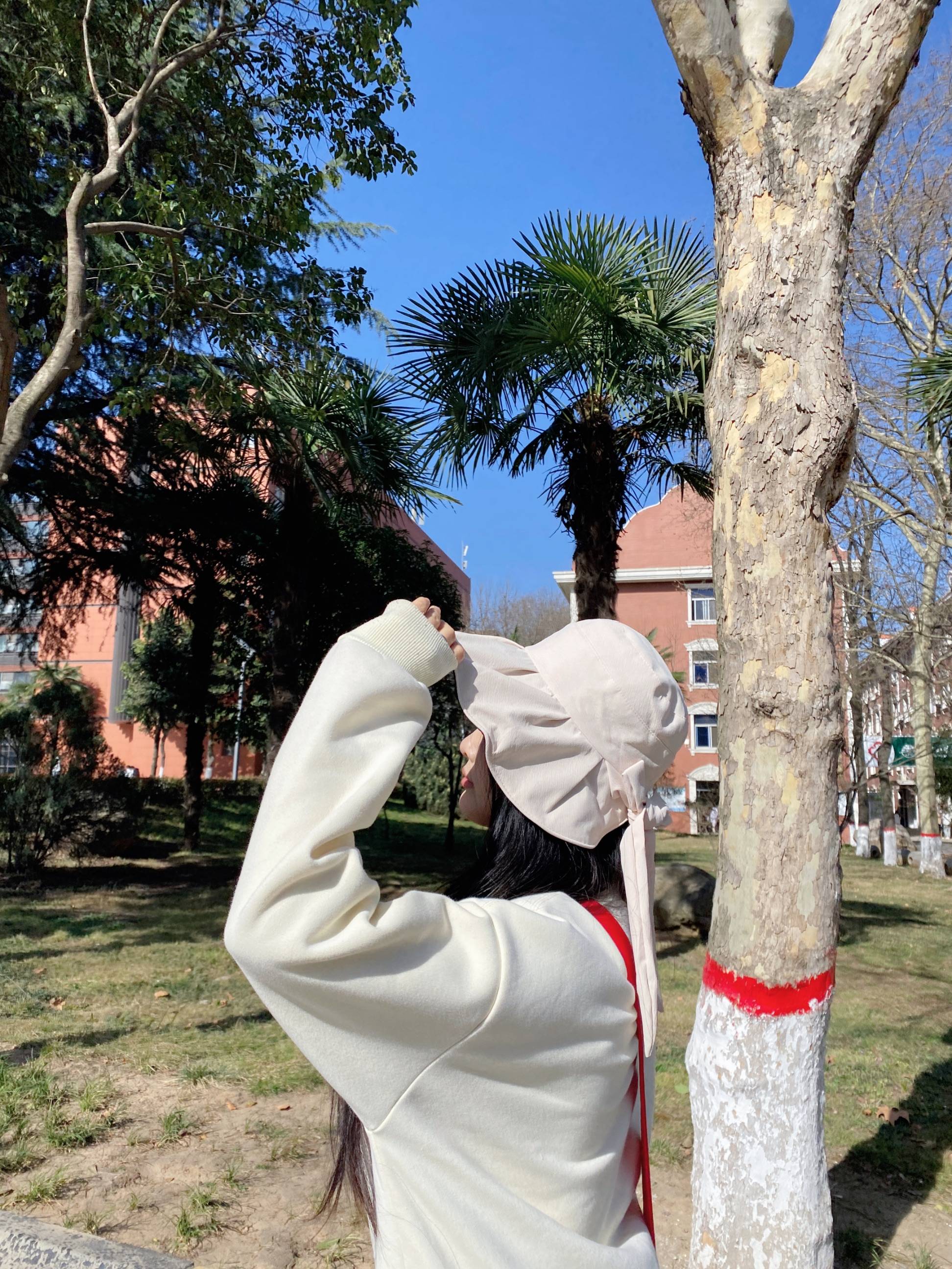 图片咋没了啊