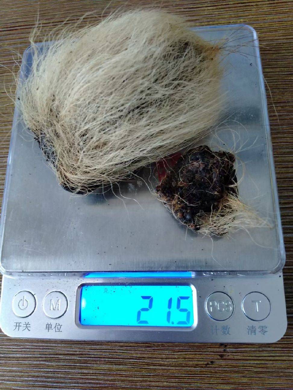 图片咋没了啊